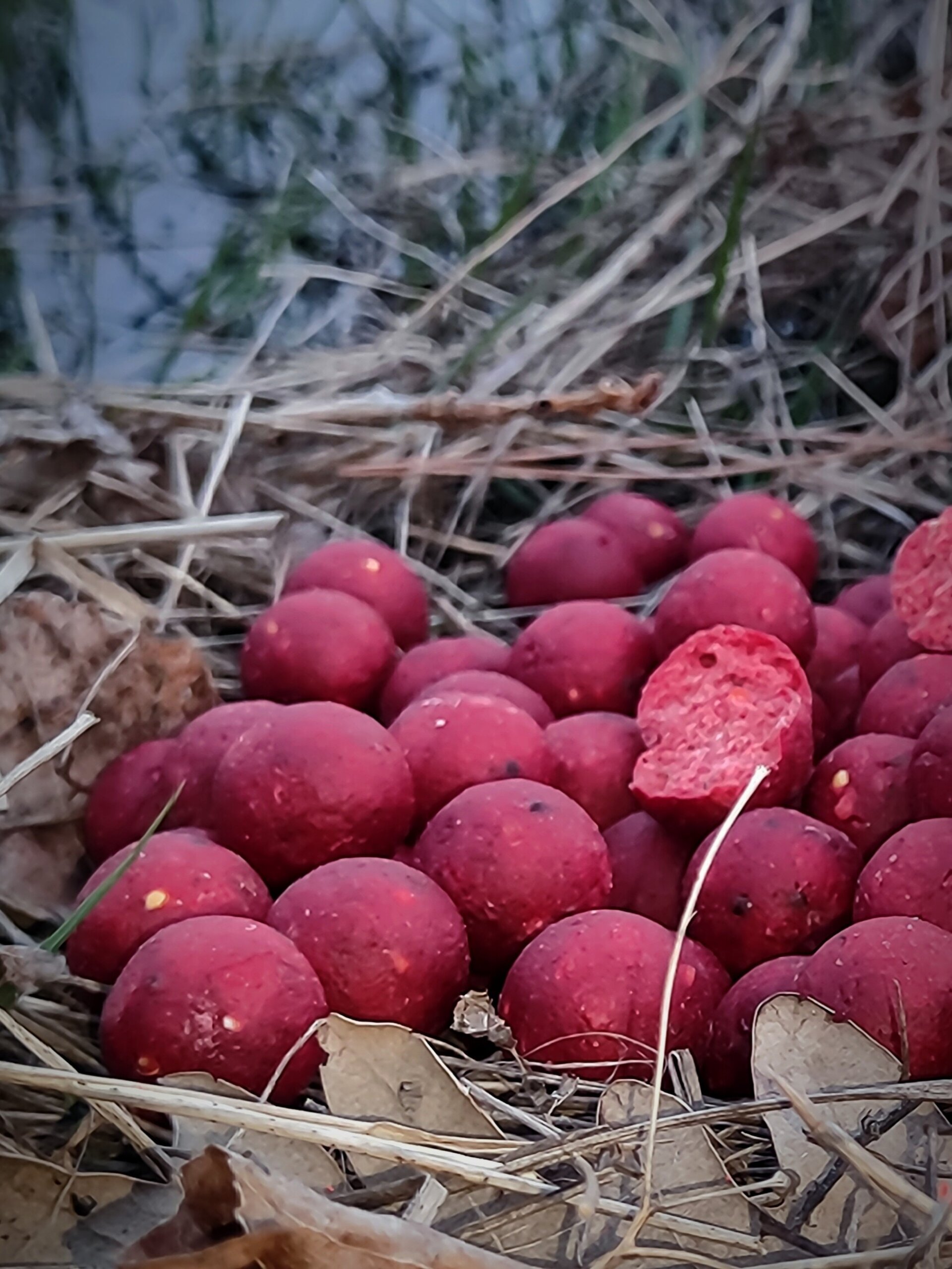 Strawberry Betaine - 3